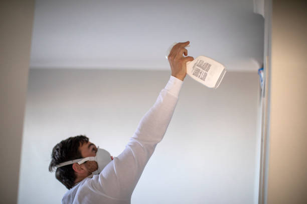 Best Black Mold Remediation in Euless, TX