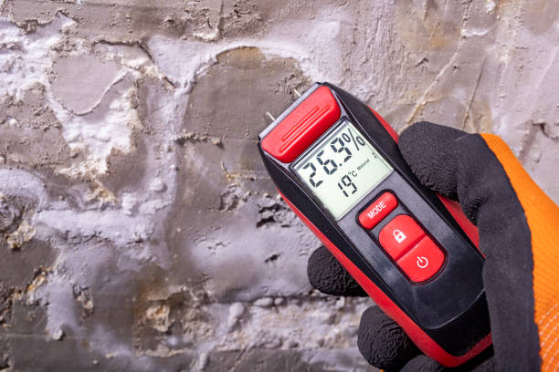 Best Residential Mold Remediation in Euless, TX