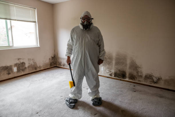 Best Kitchen Mold Remediation in Euless, TX
