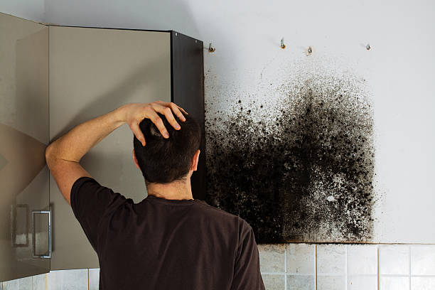 Euless, TX Mold Remediation Company